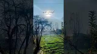 December ki sunehri dhoop me || Winter Shayari || Winter poetry #december #shayari #poetry