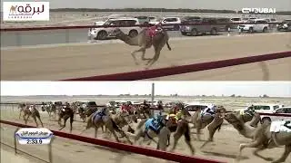 ش1 طرب لـ سعيد نايع بالشاوي الغفلي (مهرجان ختامي المرموم التراثي 13-3-2024م) حقايق بكار إنتاج 5:48:9