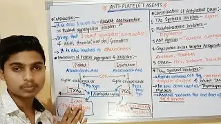 Anti-Platelet Drugs (Part-01) | Intro | Mech. Of Platelet Aggregation & Inhibition | Classification