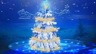 Christmas tree - footage