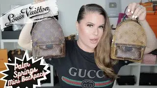 Louis Vuitton Palm Spring Mini Full REVIEW!! | Jerusha Couture
