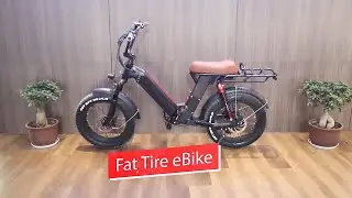 Fat tire cargo ebike from Green Pedel eBike