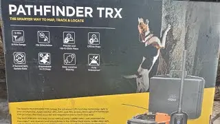 Dogtra Pathfinder TRX / Kentucky Cooner