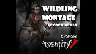 PERFECT DASH! | WILDLING MONTAGE | FT:GOODJOBMAN | #IDENTITYV