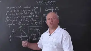 Matematikë 11 - Vektorët: Ushtrime (1)
