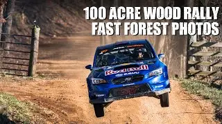 100 Acre Wood Rally: Fast Forest Photos