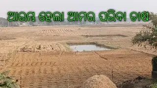 ଆରମ୍ଭ ହେଲା ଆମର ପରିବା ଚାଷ 