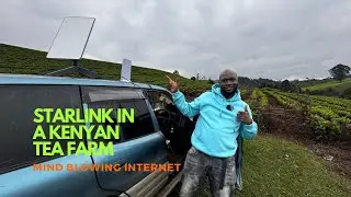 Тестирование скорости интернета Starlink на чайных плантациях Лимуру в Кении