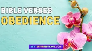 15 Bible Verses about Obedience | Inspirational Scriptures
