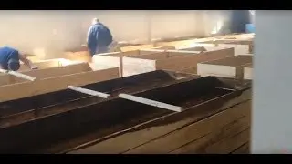 İŞTE SOLUCAN FABRİKAMIZ solucan gübresi -Solucan Gübresi YDOG