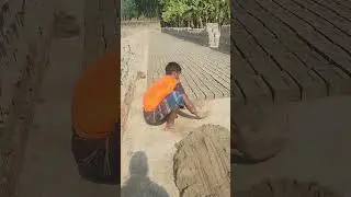 Long-established manual brick making. #shorts #brickmaking #brickfield #ziegel #batubata