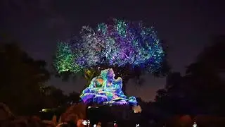 Tree of Life Awakenings 