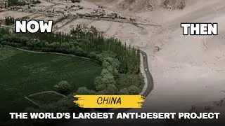 The Great Green Wall: China’s Giant Plan to Hold Back the Desert