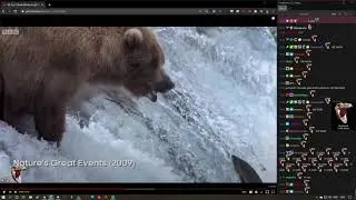 KomodoHype WE WON