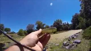 Lyubaka's Baits 7/30/2015 