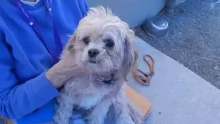 Maxfund Kiki