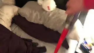The Plushvengers (2019) Part 2