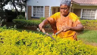 How to Enjoy Your Retirement in The Rural Home | Life After Retirement