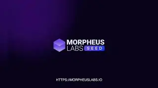 AML/KYC on Morpheus Labs SEED Demo