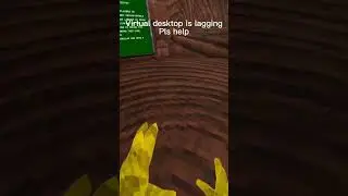 Pls help virtual desktop is lagging