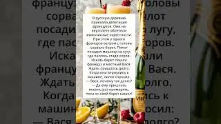 самая невероятная дереня