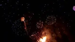 OMIA LOVING -FIREWORK Preview