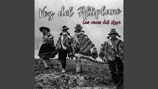 Voz del Altiplano