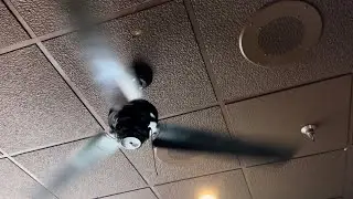 Monte Carlo studio ceiling fans at Rusty Nail restaurant at beach Shack Hotel in Cape May NJ