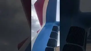 Carnival Paradise cruise ship￼