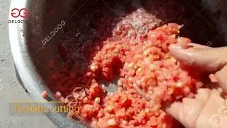 Tomato Paste Production Line 1T/H Tomato Processing Machine Price