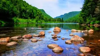 Relaxing River Sounds,  Peaceful Forest River sounds, Peaceful Ambience for Spa, Yoga and Relaxation