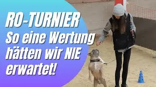 Franz&ouml;sische Bulldogge beim Rally Obedience Turnier &ndash; starker Lauf, harte Bewertung!