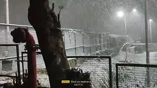 Snow fall at palampur (IHBT) CSIR
