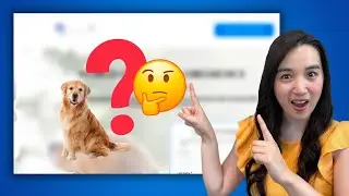 How I Design High-Converting Landing Pages For Dog Trainers