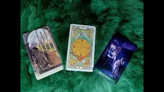 TÌNH CẢM HIỆN TẠI HỌ DÀNH CHO BẠN? CUỘC SỐNG HỌ ỔN KHÔNG ?  @EvelynTarot