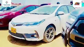 Gearheads Unite! Inside a Thrilling Rally Vehicle Show ️