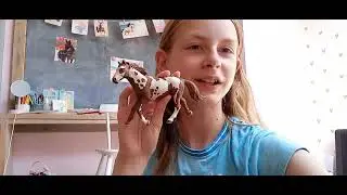 Al mijn schleichpaarden aan jullie laten zien! Deel 1| BFF HorseDIY 🐴 #8