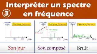 Analyser un spectre en fréquence d'un son. Enseignement scientifique (3/3)