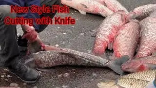 The Best Cutting Fish Skills&nbsp;| Salmon Cutting & Cleaning Fastest With Japanes Style | মাছের ভিডিও