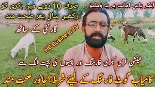 Successful Goat Farming in Pakistan | How to keep goats healthy | HB Business TV