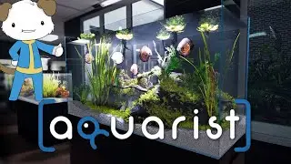 AQUARIST First Look