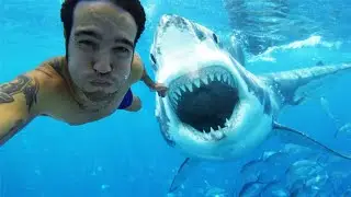 Most Dangerous Photos People Have Ever Taken