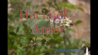 Hacia el Amor