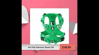 No Pull Harness Green XS