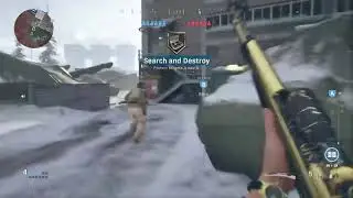 Cod