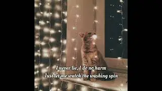 I'm Just a Cat - Simon, The Astronauts (Lyrics)