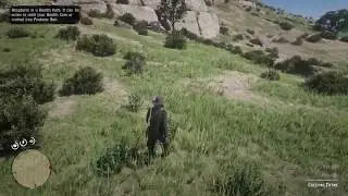 Red Dead Redemption 2 | Red Raspberry, Yarrow and Creeping Thyme locations