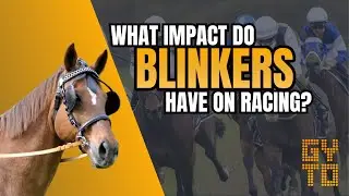 🤔What Impact Do Blinkers Have on Racing? | GYTO Explains🤔