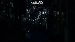 #2023 #cheluru #manglore #green #visual #vibes #evining #mood #love #like