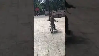 Monyet naik sepeda tertabrak pohon